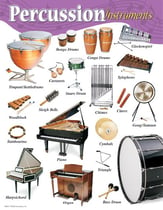 Percussion Instruments Learning Chart Posters
